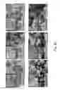 Fig. 24 - Three-dimensional porous polyurea networks and methods of manufacture