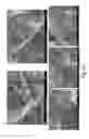 Fig. 27 - Three-dimensional porous polyurea networks and methods of manufacture