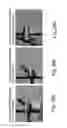 Fig. 30 - Three-dimensional porous polyurea networks and methods of manufacture