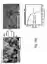 Fig. 32 - Three-dimensional porous polyurea networks and methods of manufacture
