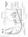 Fig. 23 - Reading stand