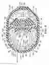 Fig. 09 - Security device