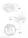 Fig. 05 - CONTAINER LID HAVING A PRESSURE EQUALIZING DEVICE
