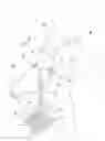 Fig. 01 - Standing Child Carrier