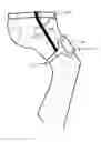Fig. 01 - THIGH-MOUNTED DEVICE HOLDER