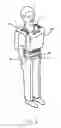 Fig. 06 - Multi-member pack system for more evenly distributing weight on the upper body and hips