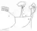Fig. 01 - Scent dispersing apparatus