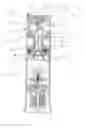 Fig. 01 - Pressure regulator in a rotationally driven sprinkler nozzle housing assembly