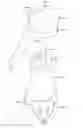 Fig. 01 - Condiment grinder