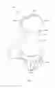 Fig. 02 - Condiment grinder
