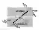 Fig. 01 - Positron annihilation characteristics measurement system and method for measuring positron annihilation characteristics