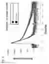 Fig. 05 - Positron annihilation characteristics measurement system and method for measuring positron annihilation characteristics