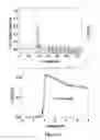Fig. 30 - Methods and compositions for the detection of X-ray and gamma-ray radiation