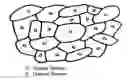 Fig. 02 - HEAT-EMITTING GRAPHITE MATERIAL COMPRISING AMORPHOUS CARBON PARTICLES AND A PRODUCTION METHOD THEREFOR