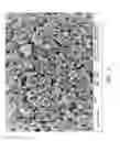 Fig. 09 - Material of phosphorus-doped lithium titanium oxide with spinel structure and method of manufacturing the same