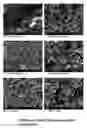 Fig. 01 - Electroconductive carbon fibril-based inks and coatings