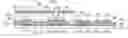 Fig. 01 - Flat display device with a dummy pixel integrally formed in a peripheral region