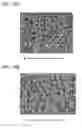 Fig. 15 - Oxide material and semiconductor device