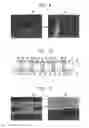 Fig. 05 - Multilayer wiring substrate and method of manufacturing the same