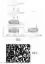 Fig. 03 - PROCESS FOR MANUFACTURING A STAND-ALONE THIN FILM