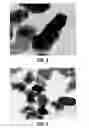 Fig. 06 - Ceramic particulate material and processes for forming same