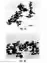 Fig. 07 - Ceramic particulate material and processes for forming same
