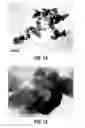 Fig. 09 - Ceramic particulate material and processes for forming same