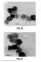 Fig. 12 - Ceramic particulate material and processes for forming same