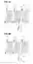 Fig. 06 - Sheet feeding device and image forming apparatus