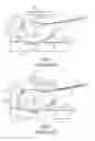 Fig. 02 - Automatic document feeder