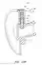 Fig. 22 - Wheel assembly