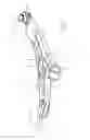 Fig. 02 - Control arm for a motor vehicle