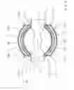 Fig. 10 - Bearing mechanism for a transverse leaf spring