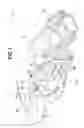 Fig. 02 - Upper vehicle body structure of automobile