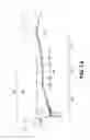 Fig. 12 - Vehicle body front structure