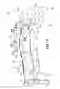 Fig. 14 - Vehicle body front structure