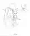 Fig. 05 - VENTILATIVE VEHICLE SEAT BACK