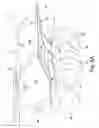 Fig. 08 - Truck body