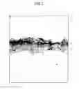 Fig. 04 - Rare earth magnet molding and method for manufacturing the same