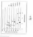 Fig. 07 - Supercapacitor materials and devices
