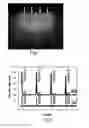 Fig. 07 - Ferromagnetic laminated structure and manufacturing method thereof