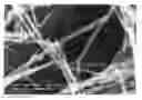 Fig. 01 - One dimension nano magnetic wires