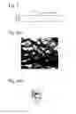 Fig. 04 - Soft-magnetic, amorphous alloy ribbon and its production method, and magnetic core constituted thereby