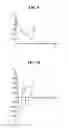 Fig. 10 - Method, medium and apparatus for browsing images