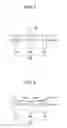 Fig. 03 - Apparatus and method for providing visual-haptic information, and terminal having the same