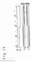 Fig. 12 - DISPLAY PANEL DRIVER FOR REDUCING HEAT GENERATION THEREIN