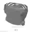 Fig. 08 - METHOD AND SYSTEM FOR GENERATING MESH FROM IMAGES