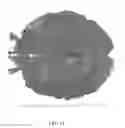 Fig. 11 - METHOD AND SYSTEM FOR GENERATING MESH FROM IMAGES