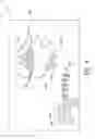 Fig. 07 - Incremental creation of a graphical object to visually represent a data set