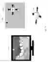 Fig. 15 - Dynamic customizable human-computer interaction behavior